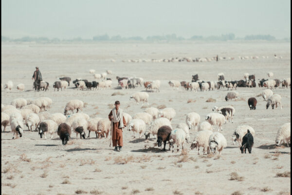 2009 AFGANISTAN GHAZNI MOQUR GIRO WARRIOR POLISH SOLDIERS
fot.Damian Kramski
www.damiankramski.com